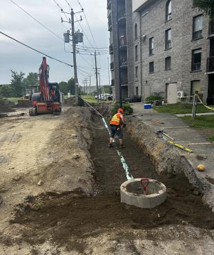 Égout Montréal